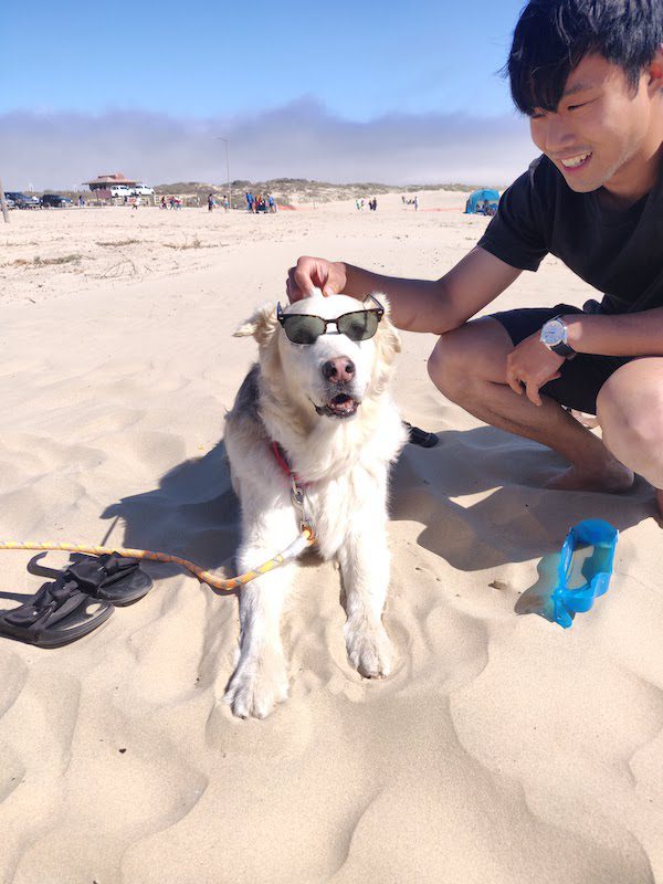 Cheddar at the beach