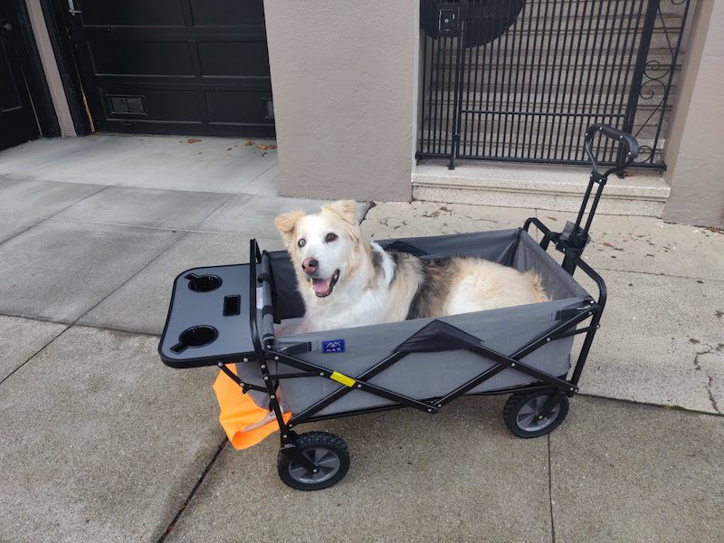 cheddar in a wagon